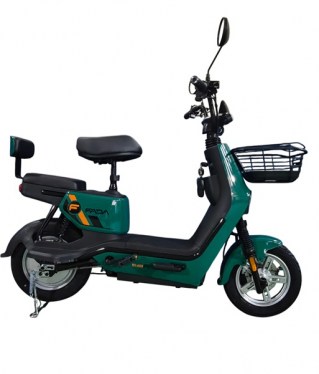 FADA CLASSi GREEN 2025MY_2